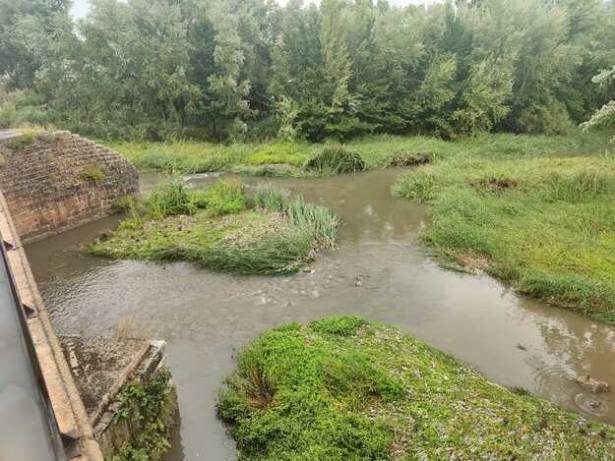 Tormenta DANA -SPT Río Henares Puente Árabe patos