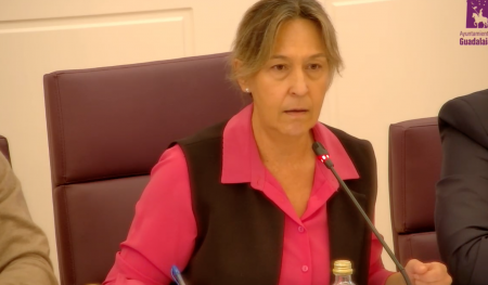 ana guarinos pleno ibi 2023