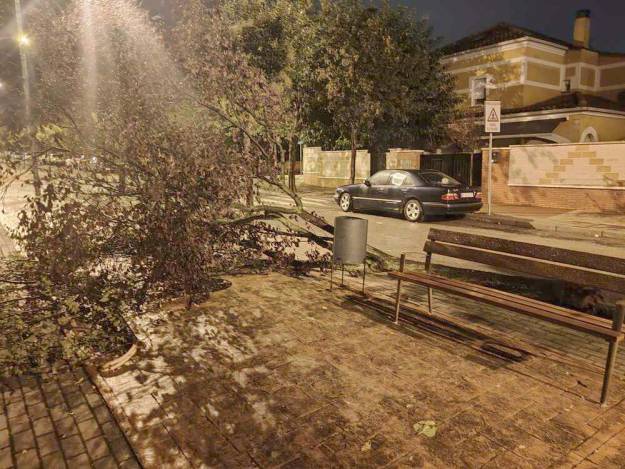 Árbol caido Cabanillas Tormenta