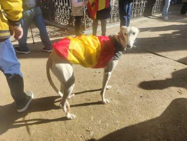 Concentración PP Amnistía 10