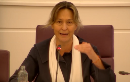 ana guarinos votacion aministía