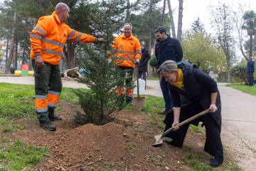 Parques y jardines árboles
