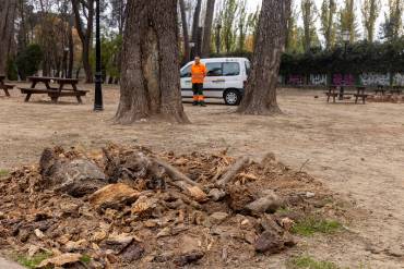 Parques y jardines árboles 2