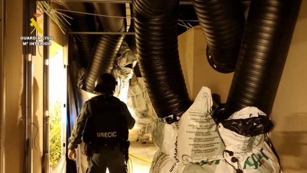 Guardia Civil Marihuana Cabanillas chinos 2