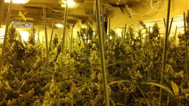 Guardia Civil Marihuana Cabanillas chinos 4