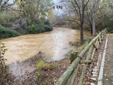 crecida henares diciembre 2023