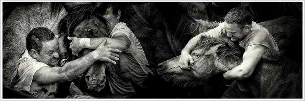 Primer premio Rapa das Bestas 1