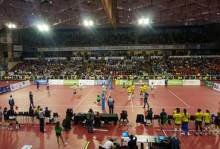 voleibol
