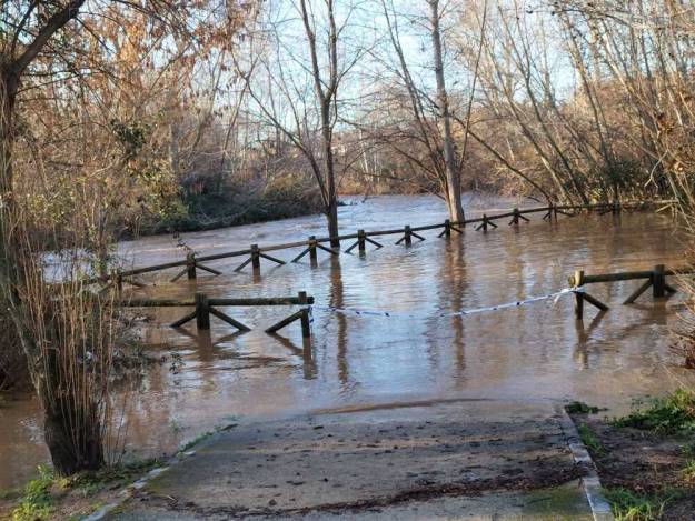 Río Henares inundación Foto Jesús Orea 3