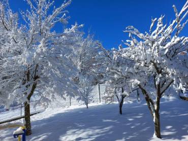 galve sorbe nevada enero 2024