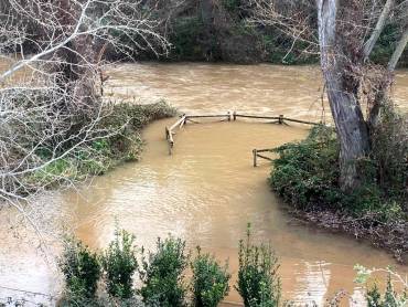 rio henares desbordado 20240118 2