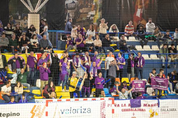 BM Guadealajara -  Alcobendas 5