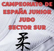 Cartel Sector Junior 1 1