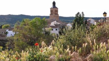 alcocer