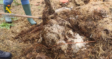 guardia civil desenterrando uno de los cadaveres enterrados
