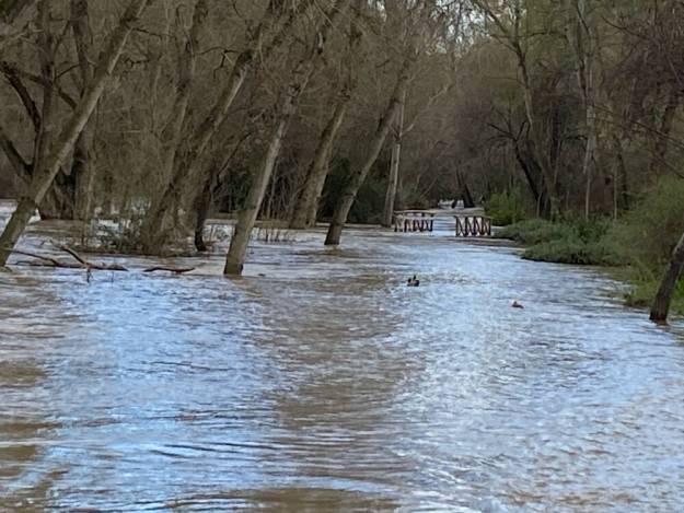 Desbordamiento río Henares