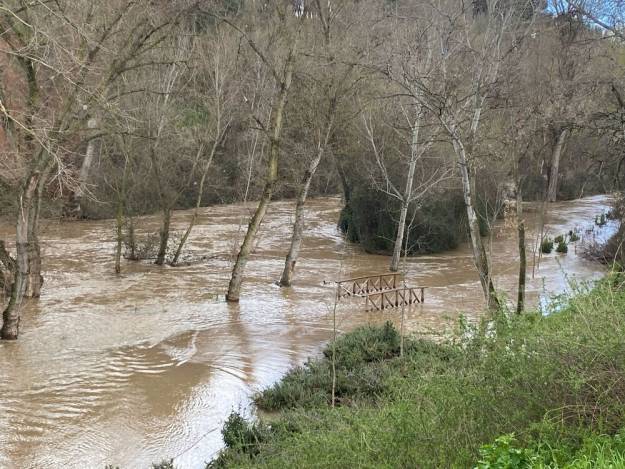 Desbordamiento río Henares 5