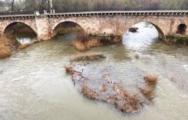 Río Henares inundación MZO Foto Luis Barra 1