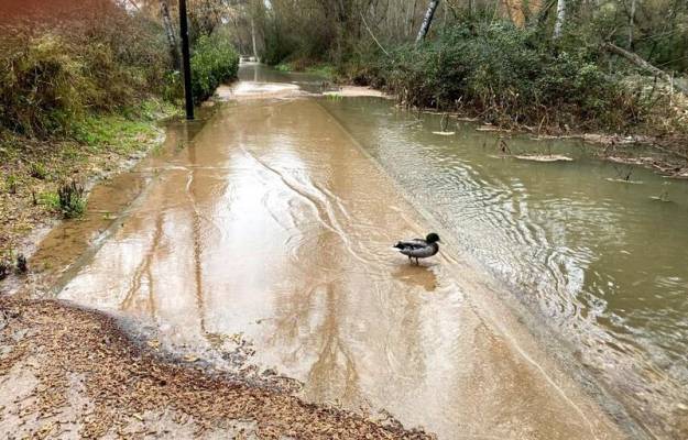 Río Henares inundación MZO Foto Luis Barra 4