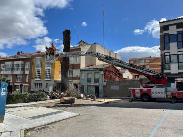 talan arbol seco de la concordia