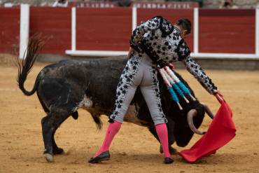 Manzanares realizó una gran faena al cuarto con mucha entrega en una tarde con Roca Rey de triunfador . Foto: Sergio Castro.
