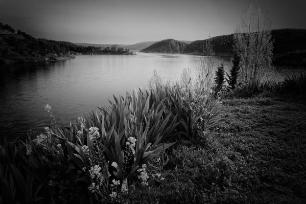 Eduardo Bonilla ganador fotografía APG 2024 1 agua río