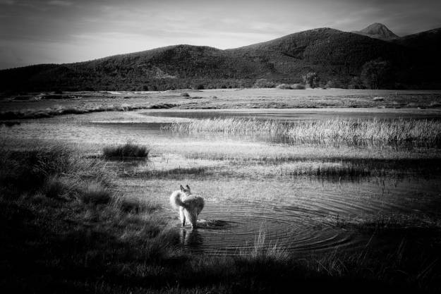 Eduardo Bonilla ganador fotografía APG 2024 agua río 2