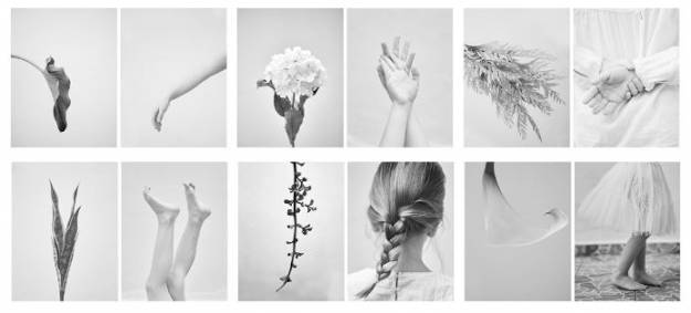 Sección Monocromo Ganador - Anatomía Botánica-