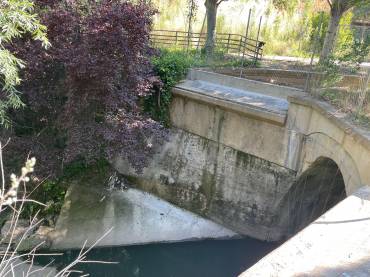 colector del alamín