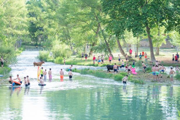 Vacas por el Tajo 2024 2