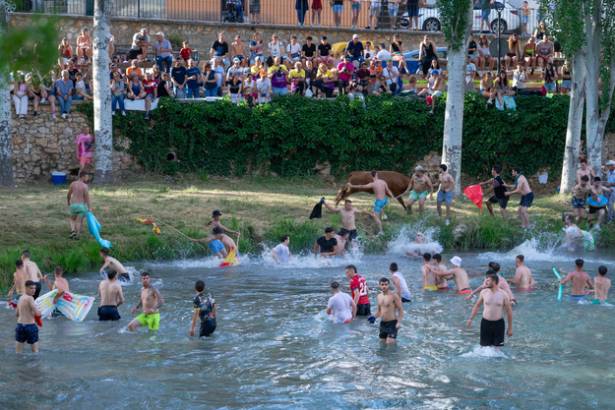 Vacas por el Tajo 2024 5