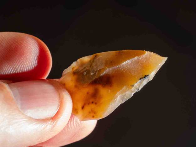 excavacion la malia tamajon 2