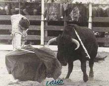 Foto El Labrador I. 1