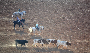 enciero la charcuela pena taurina la charcuela