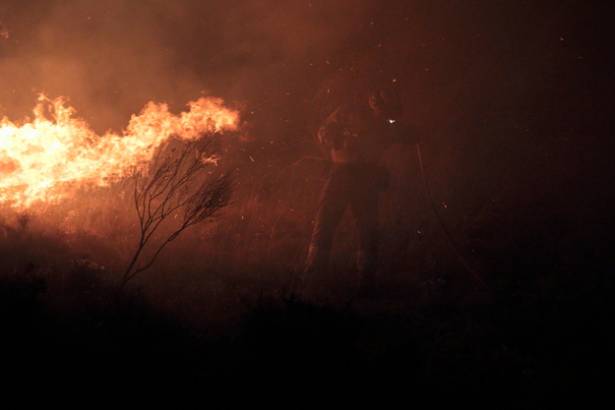 Bomberos forestales Foto Eduardo Bonilla 1