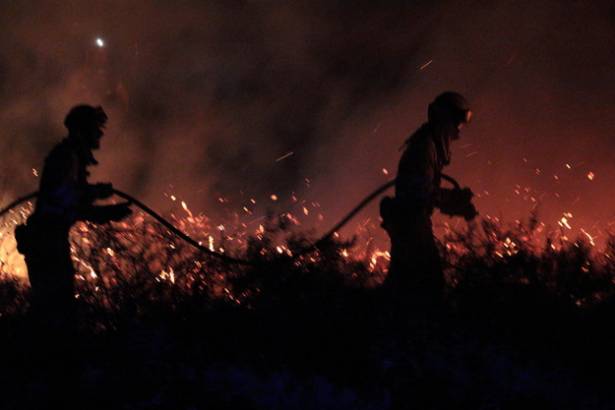 Bomberos forestales Foto Eduardo Bonilla 8