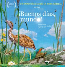 Cartel IG Sesion Especial 14CineLento 2 WEB 1