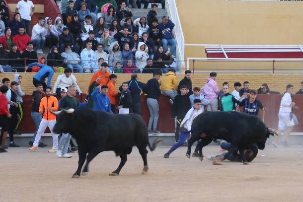 Cuarto encierro 4