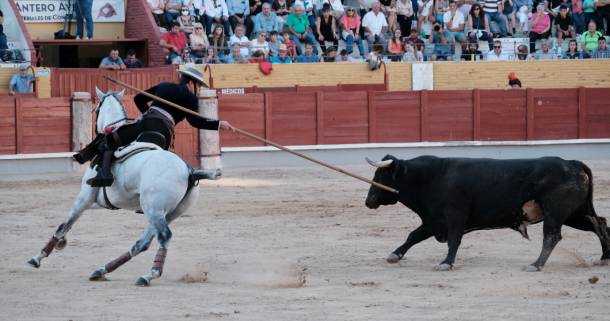 GUD - TORO 3 Y 6 -02