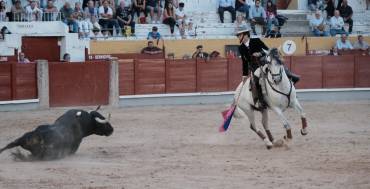 GUD - TORO 3 Y 6 -06