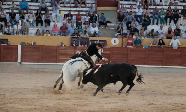 GUD - TORO 3 Y 6 -09