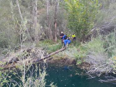 retirada de arboles caídos rio tajo 1