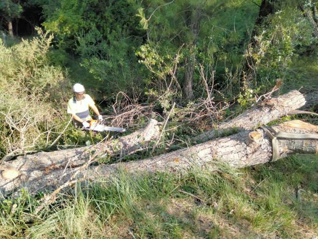 retirada de arboles caídosrio tajo 