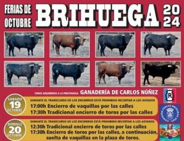 feria Chica Brihuega OCT 2024 1