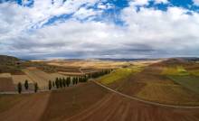 1VALLE  MINI Y PH4-3