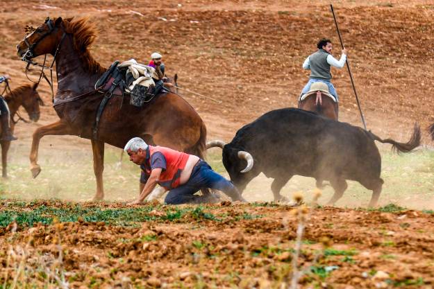 tercer premio toroalcarria 24