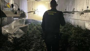 Guardia Civil marihuana Robledillo de Mohernando 2
