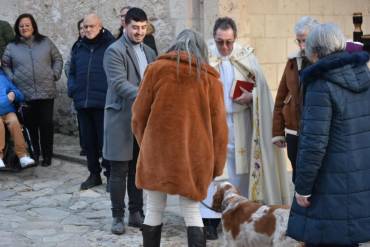 Brihuega BENDICION DE ANIMALES Foto Conchi Viejo