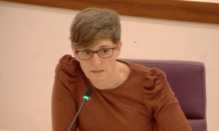 susana martinez pleno enero 2025