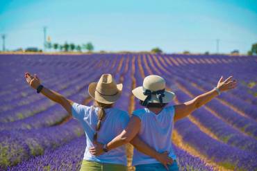 Lavanda documental CMM 2